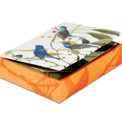 Audubon Birds Notecards