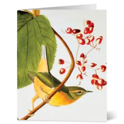Audubon Birds Notecards