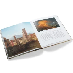 Beyond the Light: Identity and Place in Nineteenth-Century Danish Art