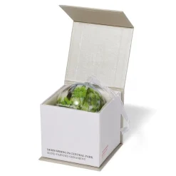 Dehn Spring in Central Park Hand-Painted Glass Ornament