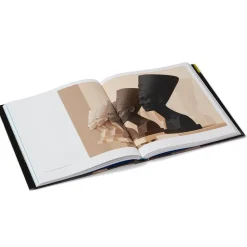 Flight into Egypt: Black Artists and Ancient Egypt, 1876–Now