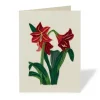 Hybrid Amaryllis Quilled Holiday Card
