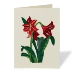 Hybrid Amaryllis Quilled Holiday Card