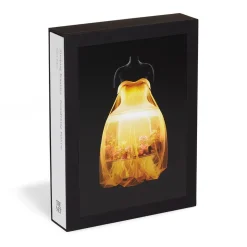 Sleeping Beauties: Reawakening Fashion