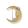 Spanish Day and Night Moon Brooch