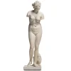 Statue of Aphrodite Sculpture