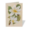 Studies of Magnolias Quilled Card