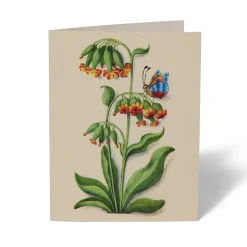 The Met Cloisters Garden Notecards