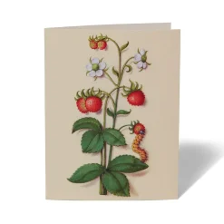 The Met Cloisters Garden Notecards