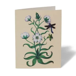 The Met Cloisters Garden Notecards